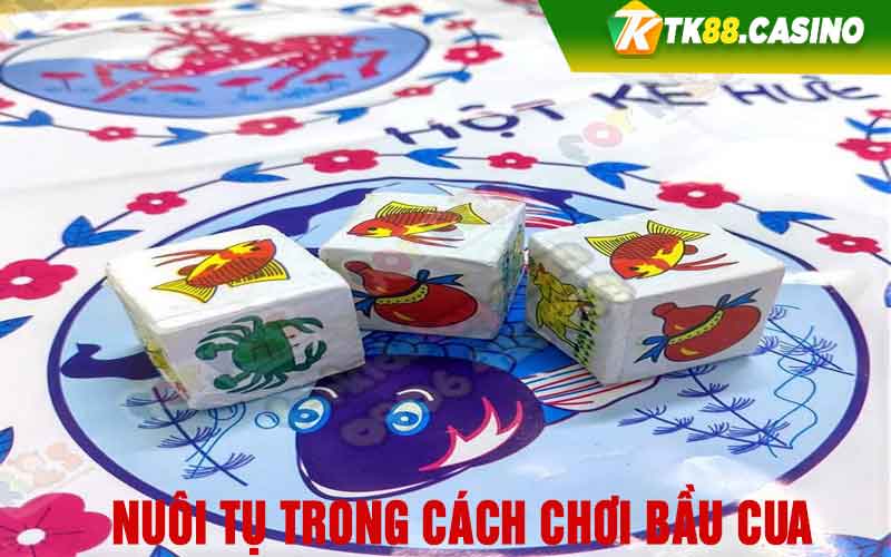 Nuôi tụ trong cách chơi bầu cua