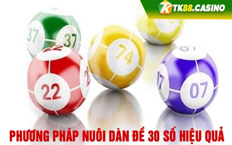 Phương pháp nuôi dàn đề 30 số hiệu quả 