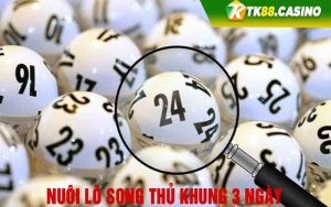 nuôi lô song thủ khung 3 ngày